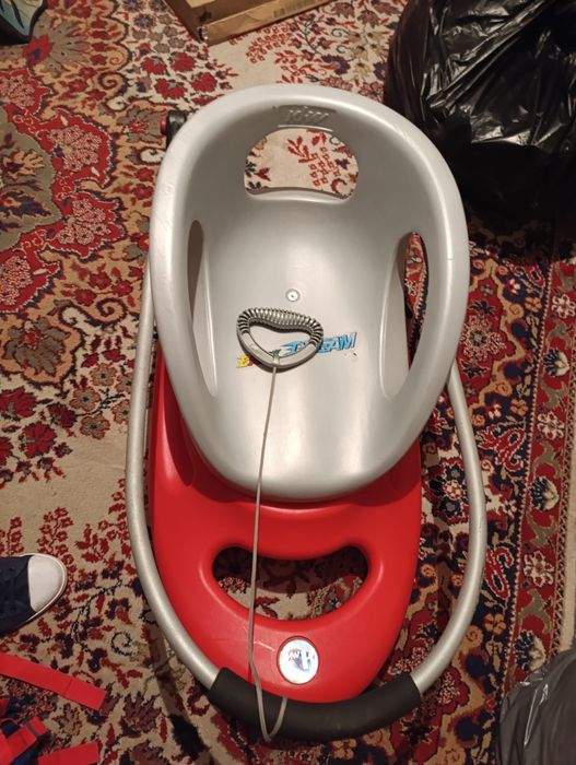 Шейна Scoutt Baby snow