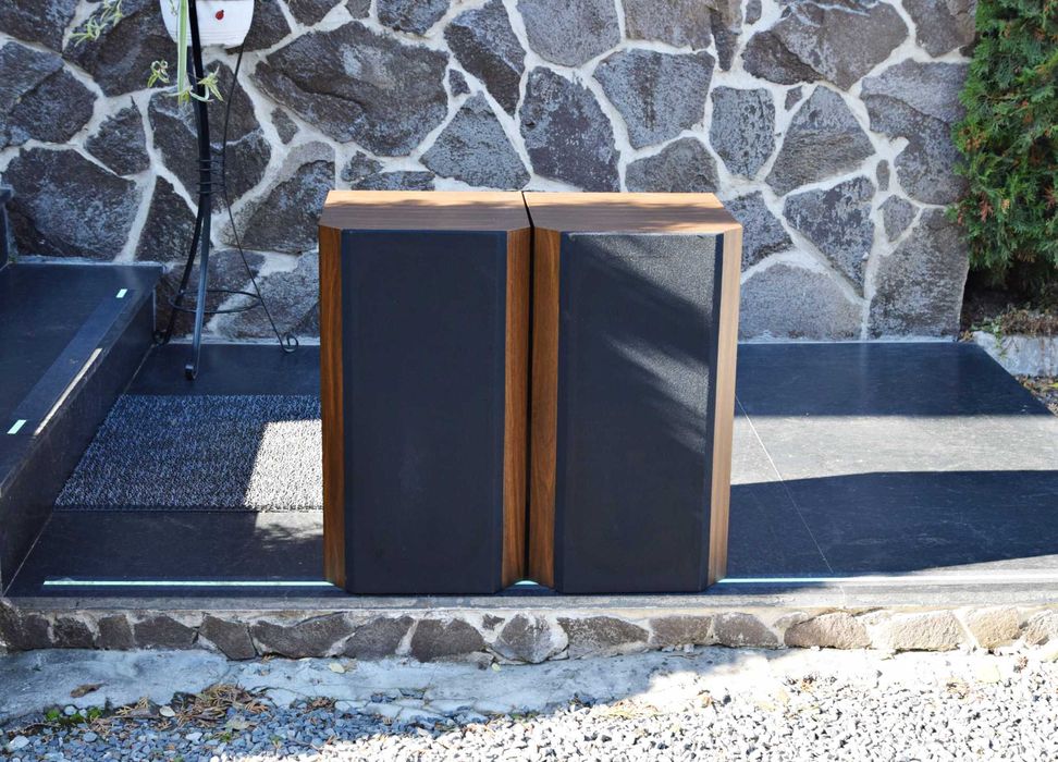 Boxe Focal JMLab DB 19