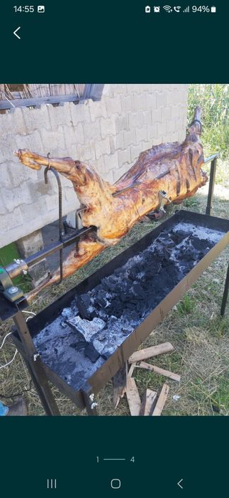 Proțap rotisor profesional