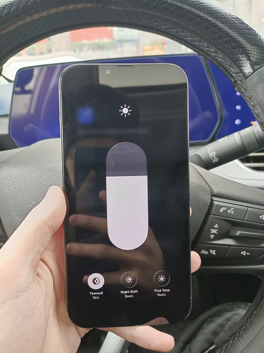 iPhone 13 Pro Max 256GB