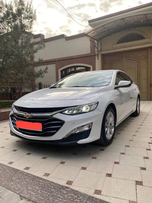 Malibu 2 primier ariginal