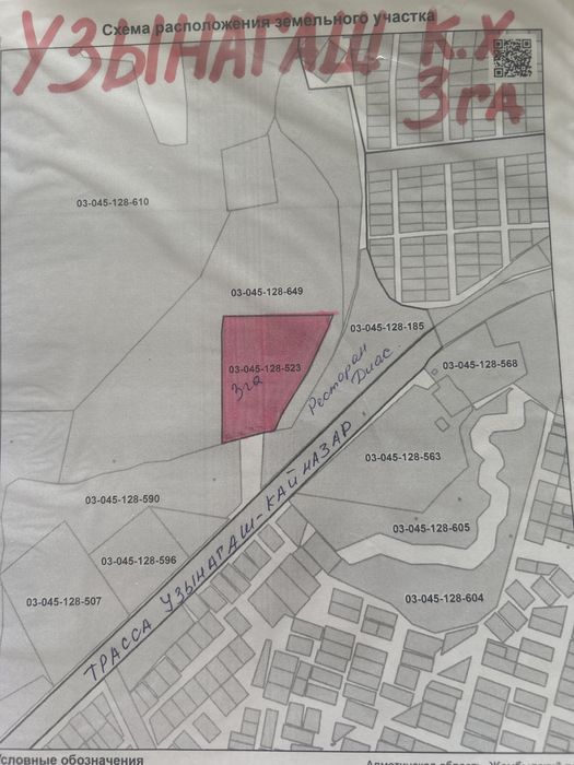 Ұзынағашта Диас мейрамханасының артында жер сатылады