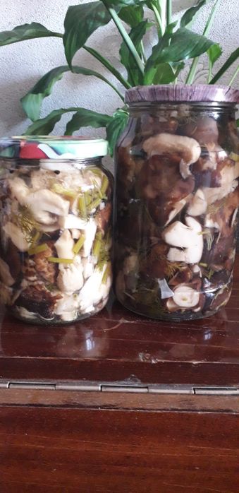 Маринованные грибы