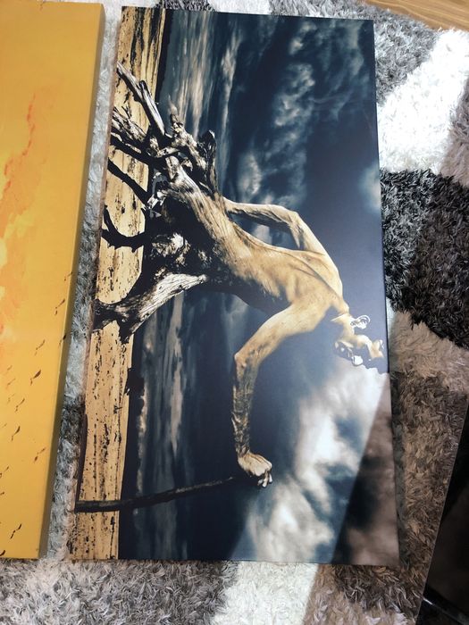 Tablou canvas 100/50 cm