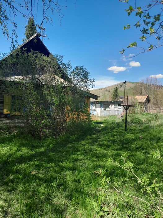 Продам дачу в живописном, экологически чистом месте.