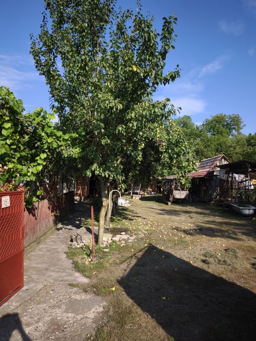 Casa de vanzare la tara - Sat Boian, Comuna Ceanu Mare cu teren 40 ari