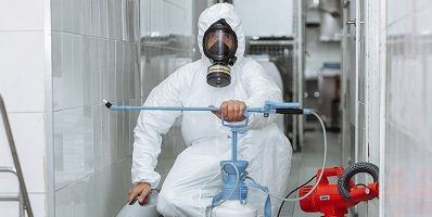 Дезинфекция от клопов и насекомых! Гарантия и Скидки!