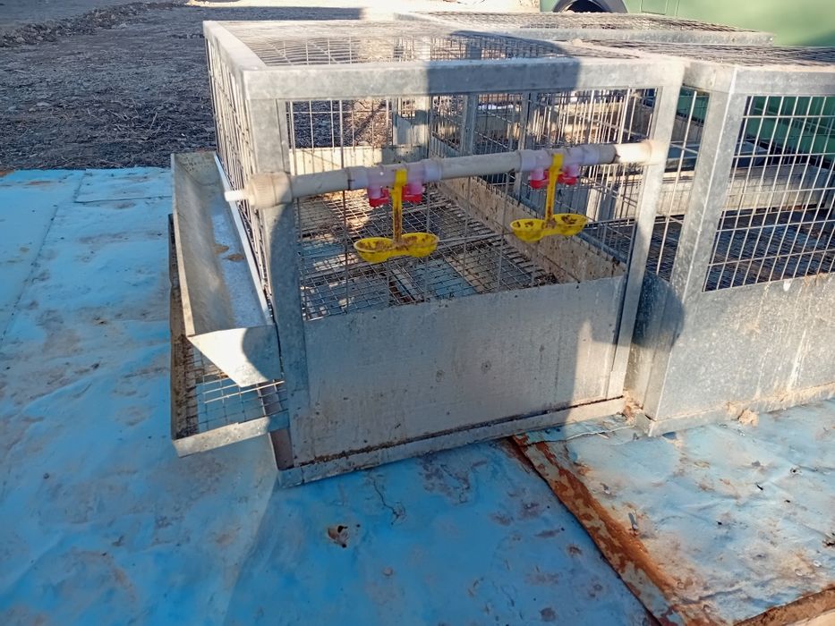 Клетки для кур несушек