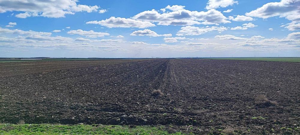 Teren arabil CUDALBI