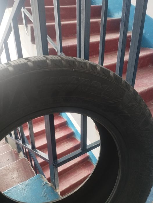 Буу покрышка сатылады