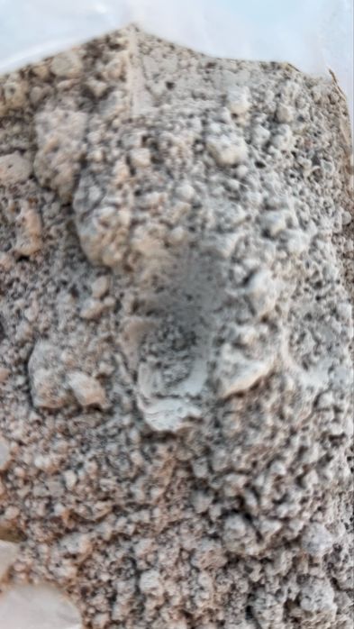 Отруби чечевичные