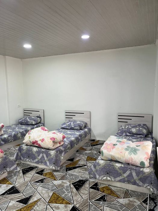 Mehmonxona xostel kunlik