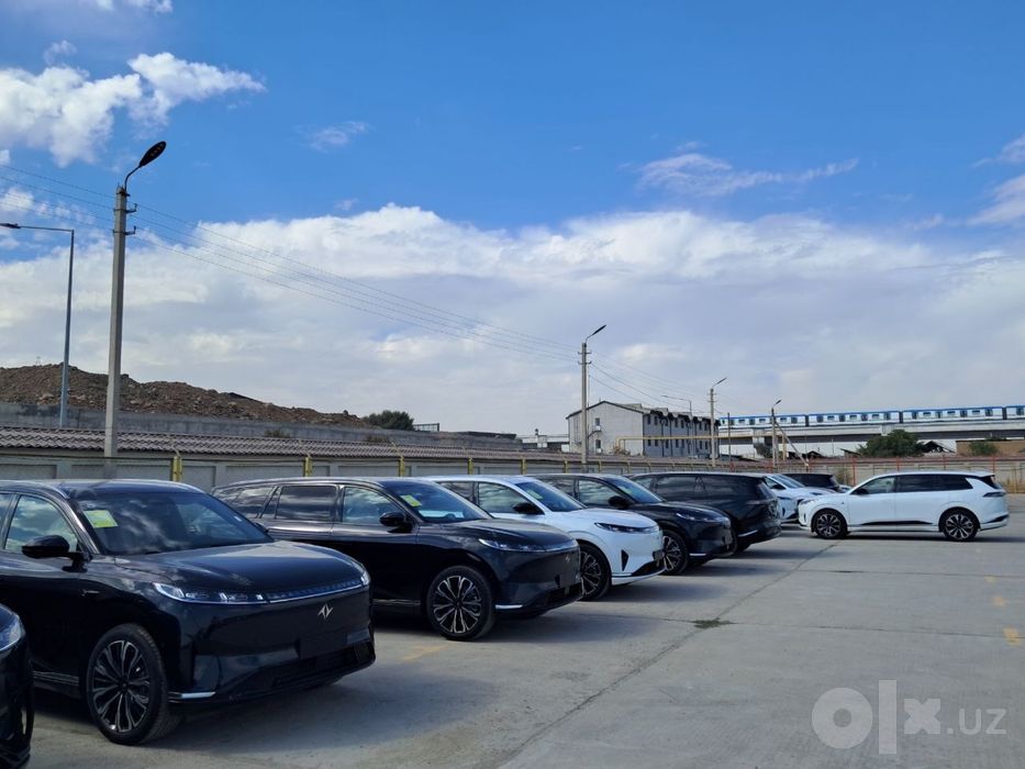 Dongfeng 008 elector