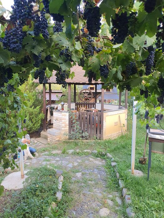 Teren casă str. Chateau Thierry,  Cisnadie