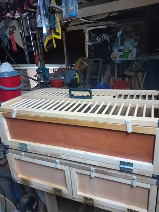 Vând lăzi pentru transport porumbei.