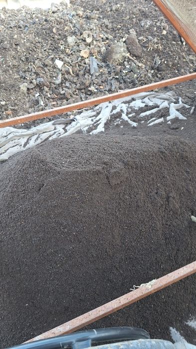 Biyagomis toza elangan