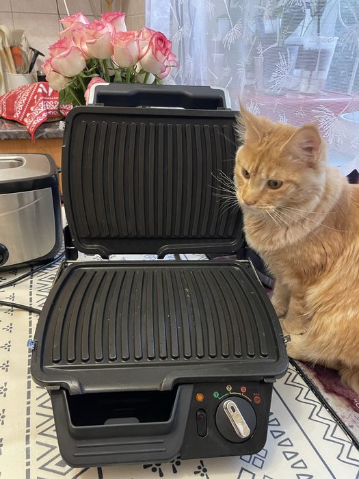 Продам электрогриль Tefal Serie G01-M