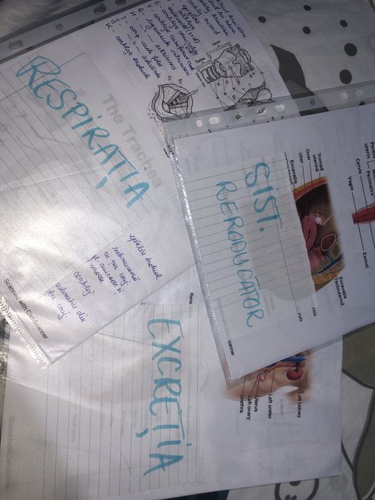 Materie admitere medicina - biologie