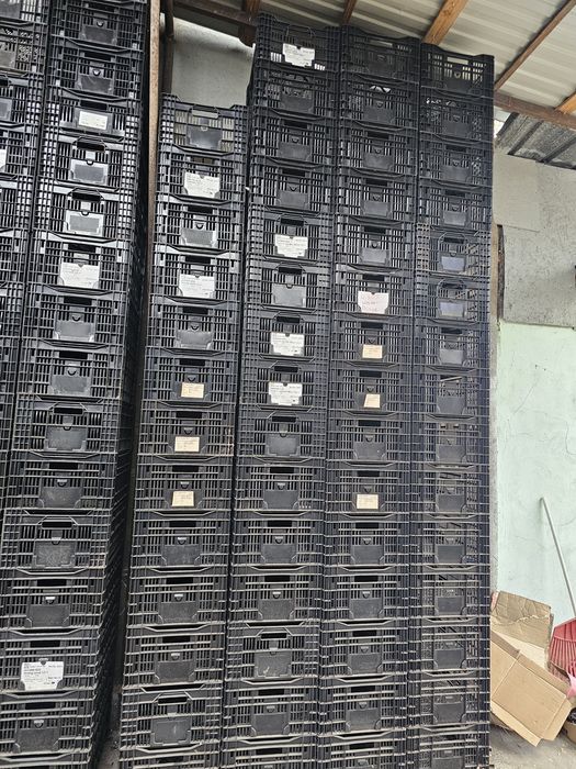 Ящики чёрные размер 60×40×23 (пр-во Европа)