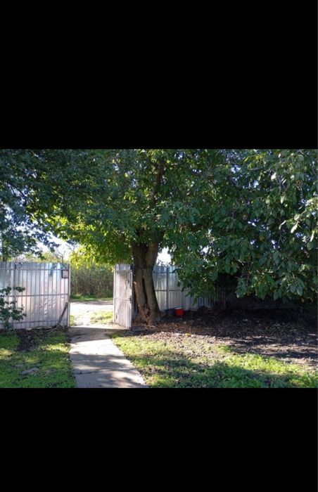 Casă cu teren 2000m