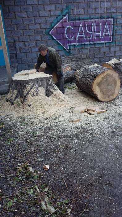 Спил  деревьев..