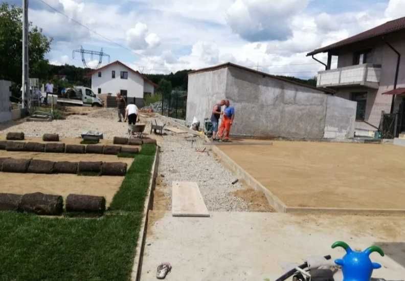 Gazon Rulou Calitate extra