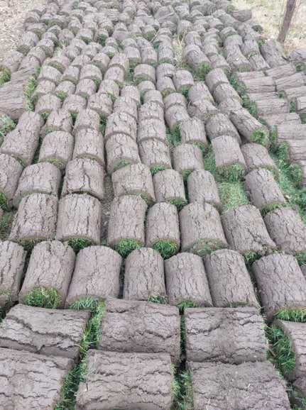 Рулонный Газон! Полив! Посев Газона! Ландшафтный Дизайн!