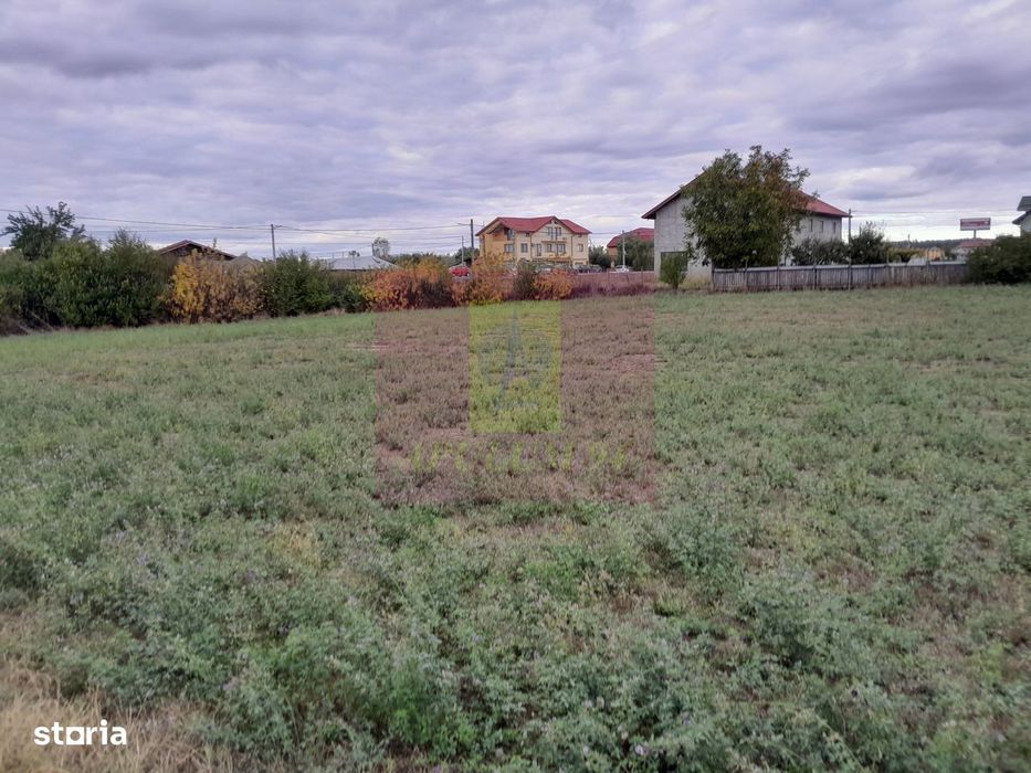 Cosereni (Il) - Se Vinde Teren 2000 Mp La Sos Bucuresti -Urziceni