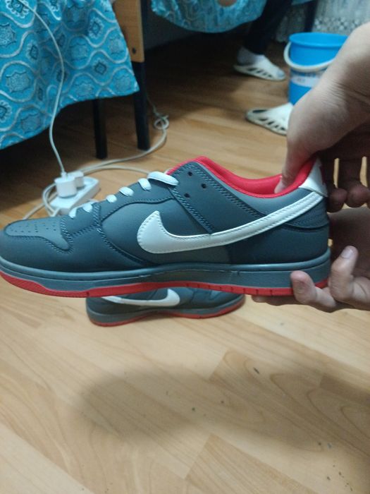 Nike sb dunk low pro