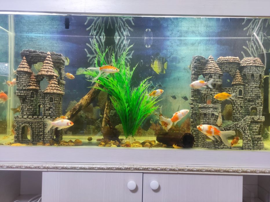 Грот для авкариума