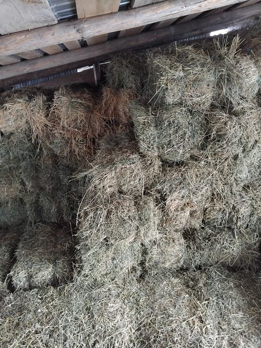 Baloți de lucernă și grăunțe