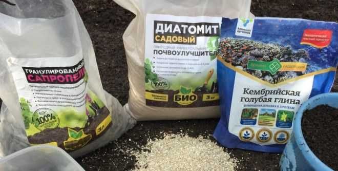 Улучшитель почвы Садовый диатомит