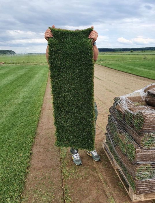 Gazon natutal direct de la producator / pret minim