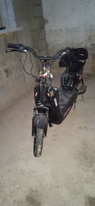 Суктердың жағдай жақсы