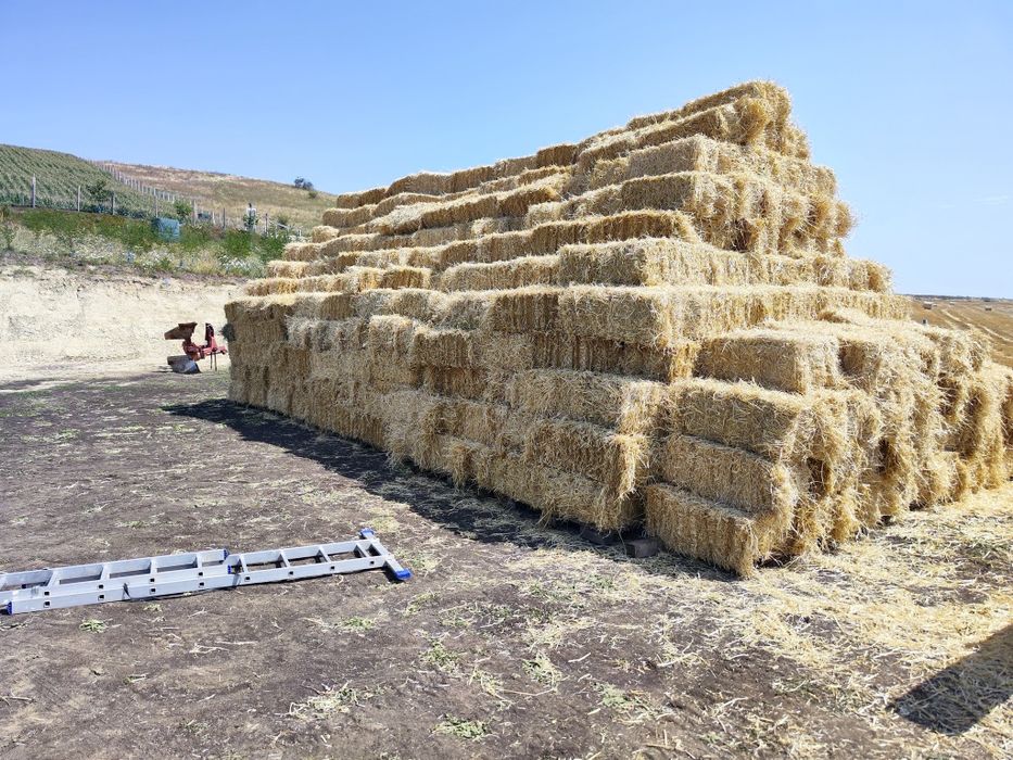 Baloți de paie de Orz