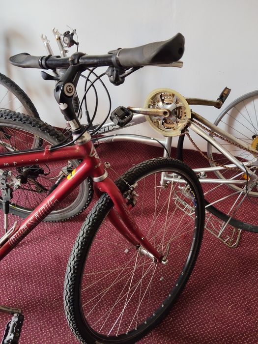 Biciclete CUBE și MUSING