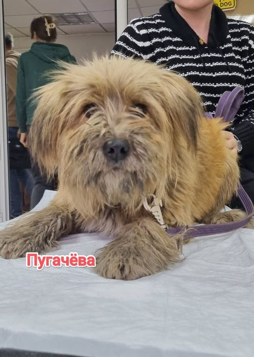 Дарю в добрые и ответственные руки