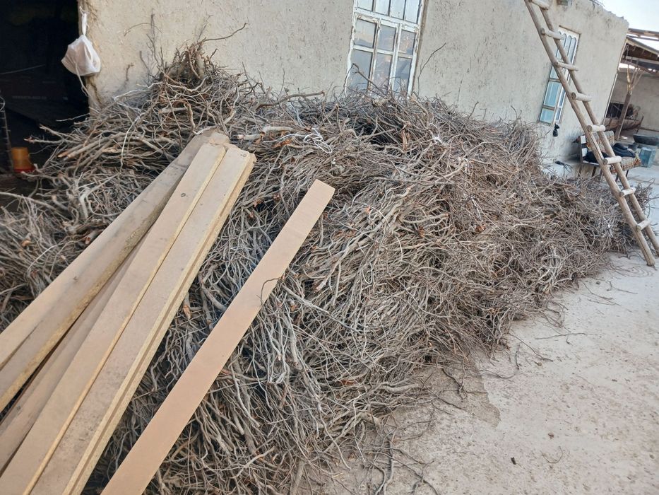 Oʼtin sotiladi tez va arzon