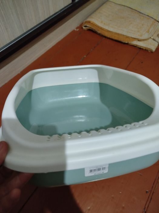 Продаётся вислоухий котёнок!