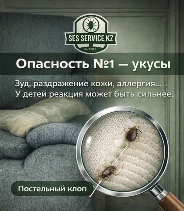СЭС СЕРВИС | Дезинсекция | Уничтожим тараканов, клопов, блох навсегда