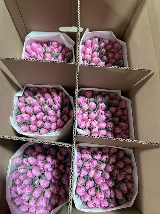 Тюлпань на 8 март