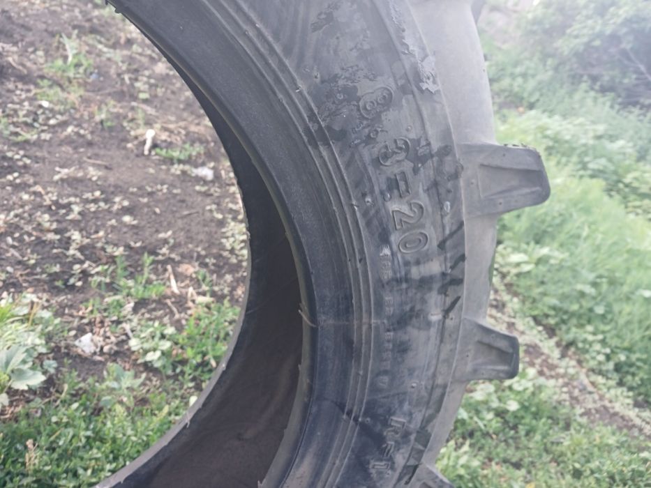 Болоны МТЗ Тсорок