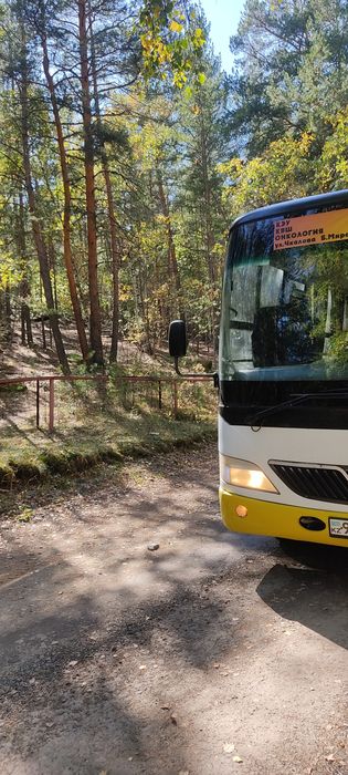 Пассажирские перевозки.