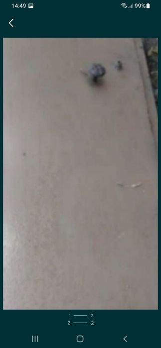 Продам дверь железную