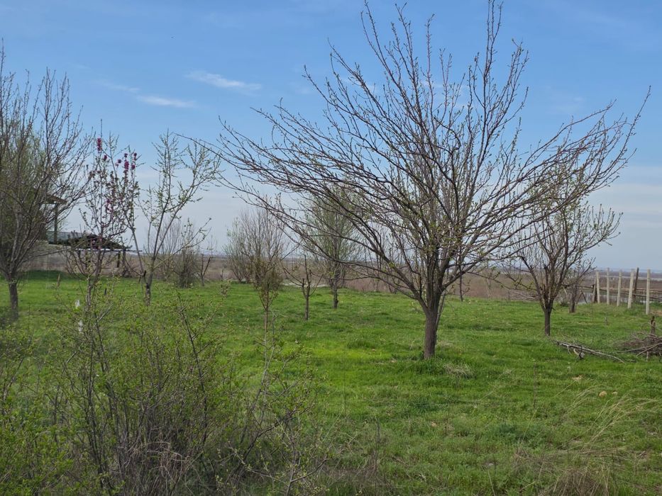 Дача в аренду  TEGYN