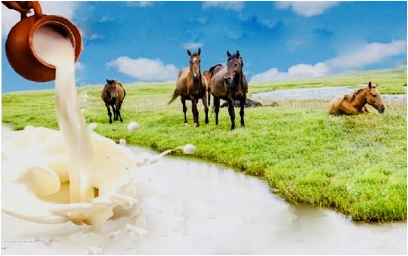 Балғын Саумал - Қымыз