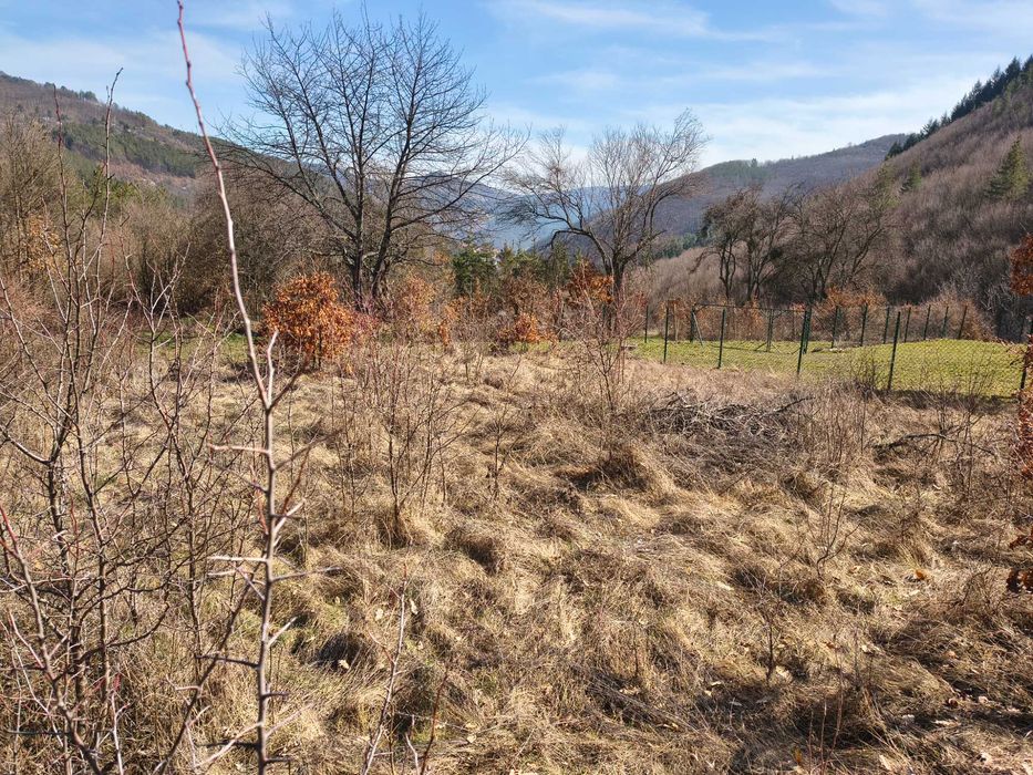 Панорамен парцел – Свидня в.з."Герова леска" ОТ СОБСТВЕНИК