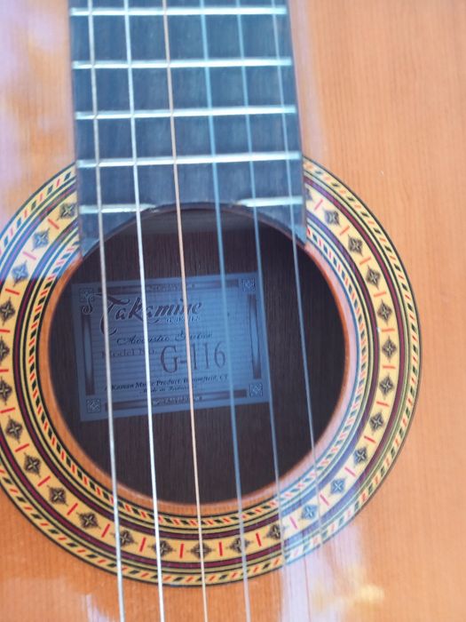 Chitara Takamine G-116
