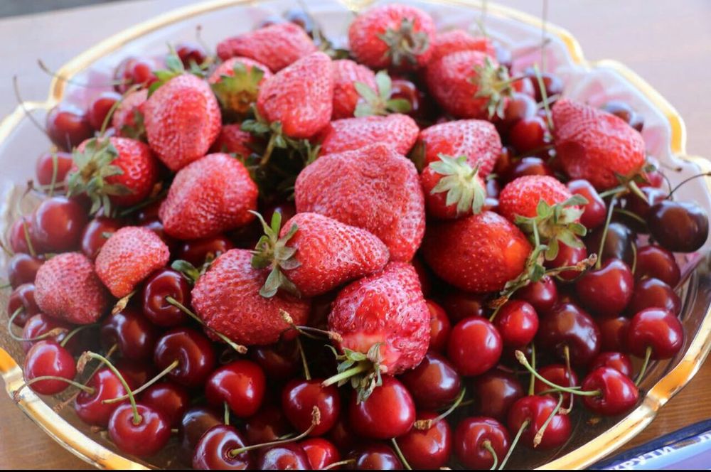 Продам кусты клубники