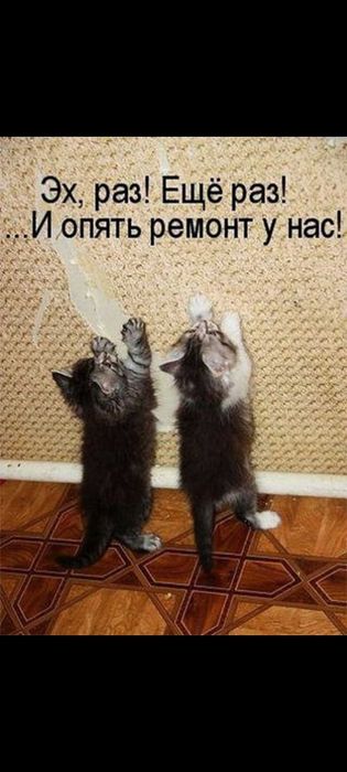 Демонтаж старых окон и дверей-отделка.